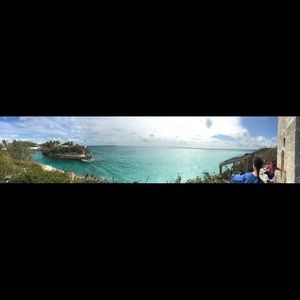 Meet your Posher, Dorinda